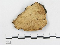 登錄號:F0003218藏品圖，第1張