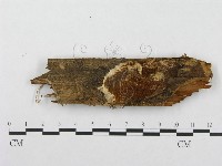 登錄號:F0003219藏品圖，第1張