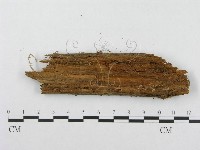 登錄號:F0003219藏品圖，第3張