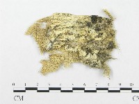 登錄號:F0003220藏品圖，第1張