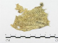 登錄號:F0003220藏品圖，第3張