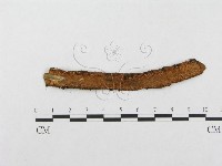 登錄號:F0003221藏品圖，第3張