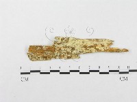 登錄號:F0003222藏品圖，第1張