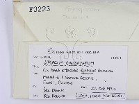 登錄號:F0003223藏品圖，第2張