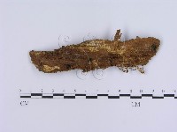 登錄號:F0003223藏品圖，第3張
