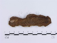 登錄號:F0003224藏品圖，第4張