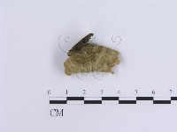 登錄號:F0003225藏品圖，第3張