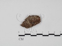 登錄號:F0003226藏品圖，第1張