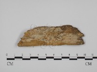 登錄號:F0003228藏品圖，第1張