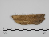 登錄號:F0003228藏品圖，第3張