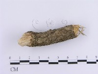 登錄號:F0003229藏品圖，第3張
