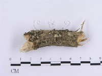 登錄號:F0003229藏品圖，第4張