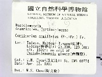 登錄號:F0003231藏品圖，第2張