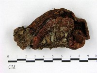 登錄號:F0003231藏品圖，第1張