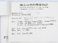 登錄號:F0003232藏品圖，第3張
