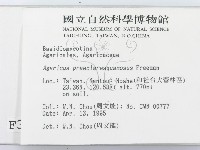 登錄號:F0003233藏品圖，第2張