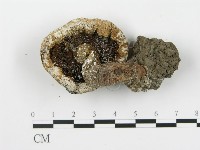 登錄號:F0003233藏品圖，第3張