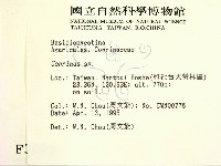 鬼傘屬藏品圖，第2張