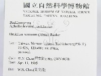 登錄號:F0003235藏品圖，第2張