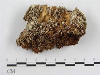 登錄號:F0003235藏品圖，第1張