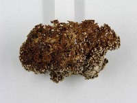 登錄號:F0003235藏品圖，第4張