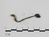 登錄號:F0003236藏品圖，第1張