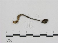登錄號:F0003236藏品圖，第3張