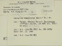 登錄號:F0003238藏品圖，第2張