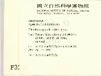 登錄號:F0003239藏品圖，第2張