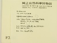 登錄號:F0003240藏品圖，第2張