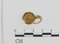 登錄號:F0003240藏品圖，第3張