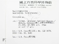 登錄號:F0003244藏品圖，第2張