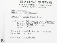 登錄號:F0003245藏品圖，第2張