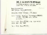 登錄號:F0003246藏品圖，第2張