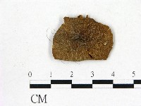 登錄號:F0003246藏品圖，第1張