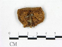 登錄號:F0003246藏品圖，第3張