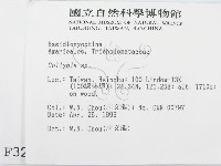 登錄號:F0003249藏品圖，第2張
