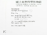 多孔菌屬藏品圖，第2張