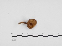 登錄號:F0003253藏品圖，第1張