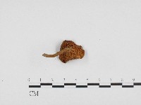 登錄號:F0003253藏品圖，第3張