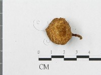 登錄號:F0003253藏品圖，第4張