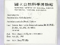 登錄號:F0003254藏品圖，第2張