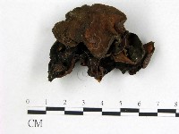 登錄號:F0003254藏品圖，第1張