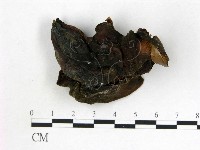 登錄號:F0003254藏品圖，第3張