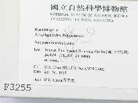 登錄號:F0003255藏品圖，第2張
