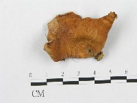 登錄號:F0003255藏品圖，第3張