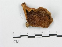 登錄號:F0003255藏品圖，第1張
