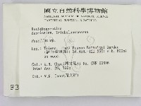 登錄號:F0003256藏品圖，第2張