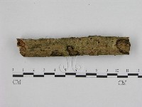 登錄號:F0003256藏品圖，第3張