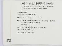 小皮傘屬藏品圖，第2張